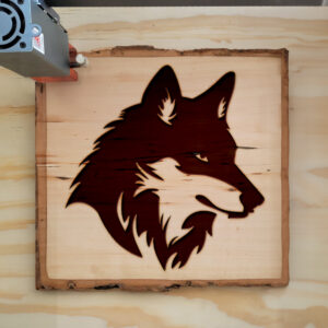 44767_wood-laser-1.jpg
