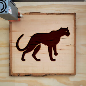 44809_wood-laser-1.jpg