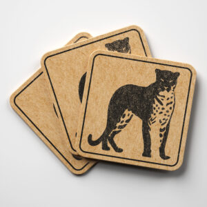 44813_coaster-1.jpg