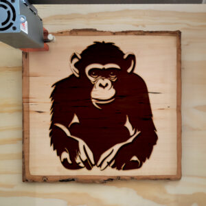 44817_wood-laser-1.jpg