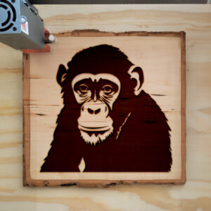 44819_wood-laser-1.jpg