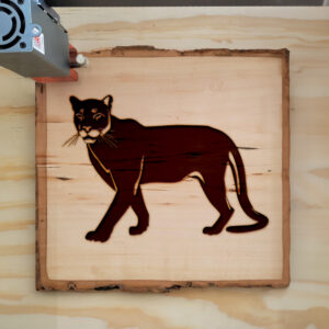 44823_wood-laser-1.jpg