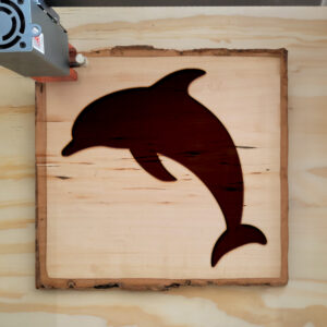 44835_wood-laser-1.jpg