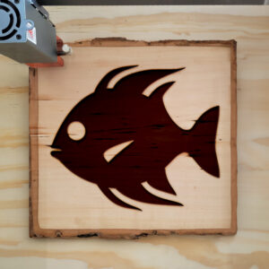 44857_wood-laser-1.jpg