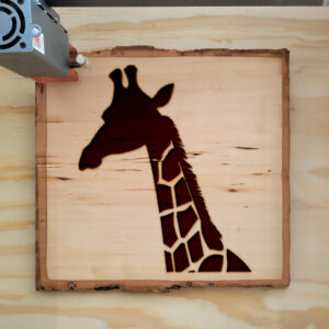 44863_wood-laser-1.jpg