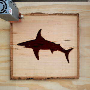 44883_wood-laser-1.jpg