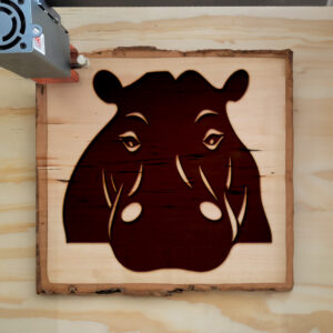 44887_wood-laser-1.jpg