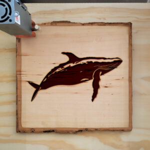 44891_wood-laser-1.jpg
