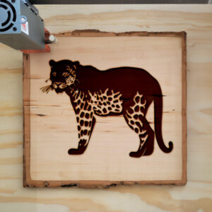 44907_wood-laser-1.jpg