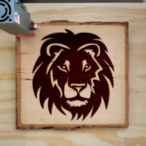 44921_wood-laser-1.jpg