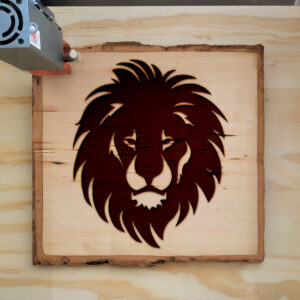 44923_wood-laser-1.jpg