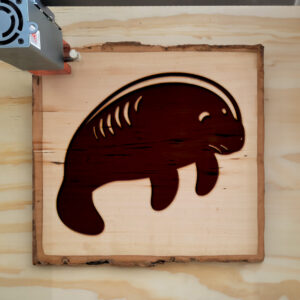 44931_wood-laser-1.jpg