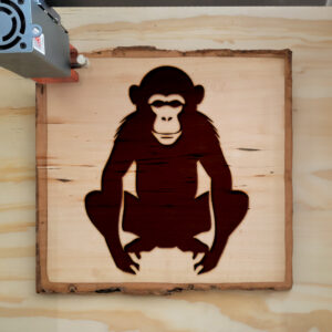 44939_wood-laser-1.jpg