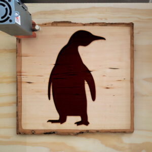 44947_wood-laser-1.jpg