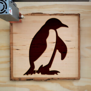 44952_wood-laser-1.jpg