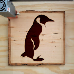 44954_wood-laser-1.jpg