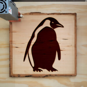 44956_wood-laser-1.jpg