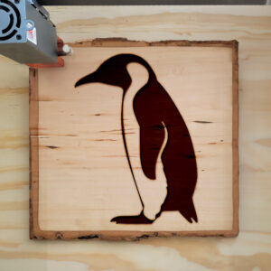 44958_wood-laser-1.jpg