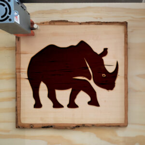 44964_wood-laser-1.jpg