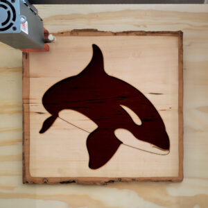 44970_wood-laser-1.jpg