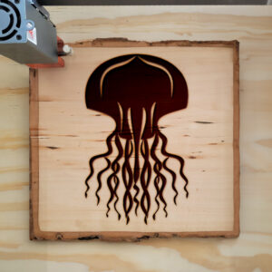 44972_wood-laser-1.jpg