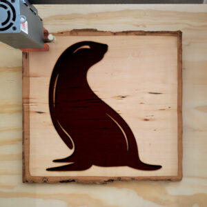 44979_wood-laser-1.jpg