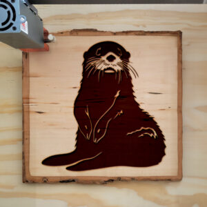 44982_wood-laser-1.jpg