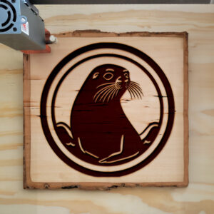44997_wood-laser-1.jpg