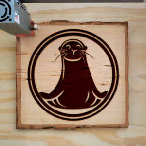 45002_wood-laser-1.jpg