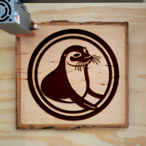 45008_wood-laser-1.jpg