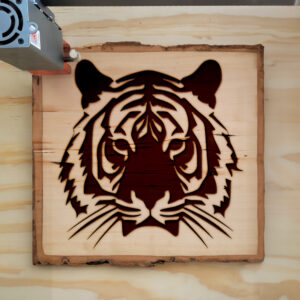 45038_wood-laser-1.jpg