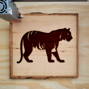45042_wood-laser-1.jpg