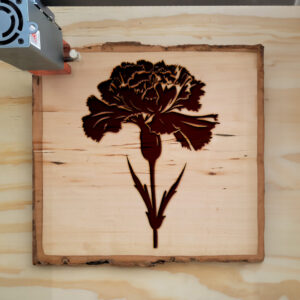 45140_wood-laser-1.jpg