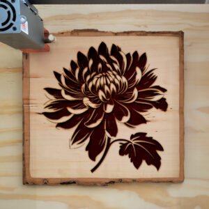 45142_wood-laser-1.jpg