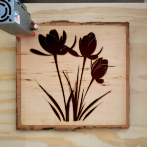 45150_wood-laser-1.jpg