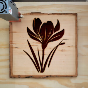 45152_wood-laser-1.jpg