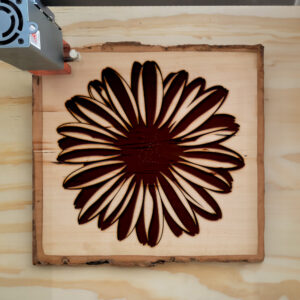 45158_wood-laser-1.jpg