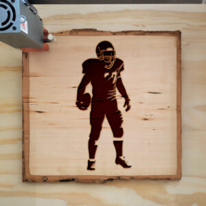 45162_wood-laser-1.jpg
