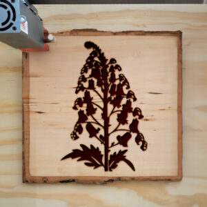 45166_wood-laser-1.jpg