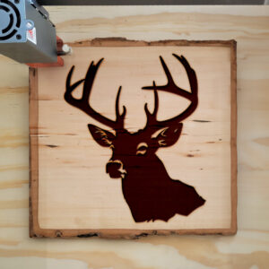45192_wood-laser-1.jpg
