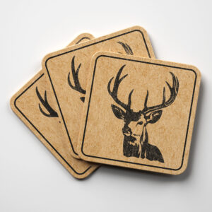 45194_coaster-1.jpg