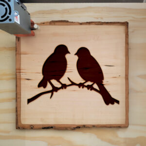 45208_wood-laser-1.jpg