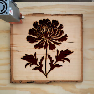 45210_wood-laser-1.jpg