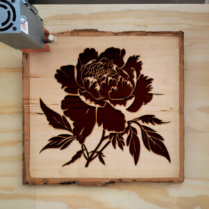 45218_wood-laser-1.jpg