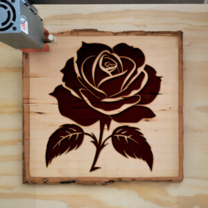 45226_wood-laser-1.jpg