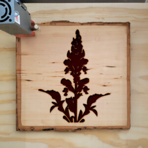 45233_wood-laser-1.jpg