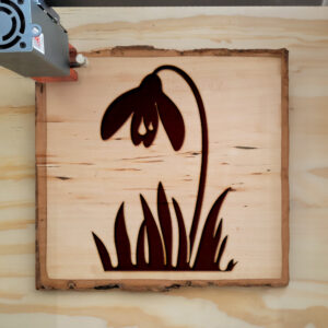 45237_wood-laser-1.jpg