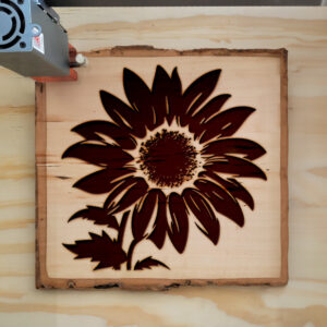 45262_wood-laser-1.jpg