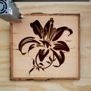 45285_wood-laser-1.jpg