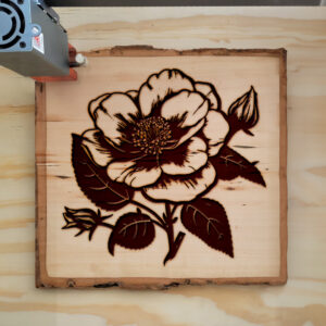 45323_wood-laser-1.jpg